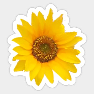 Yellow Sunflower -  Hello Summer Sticker